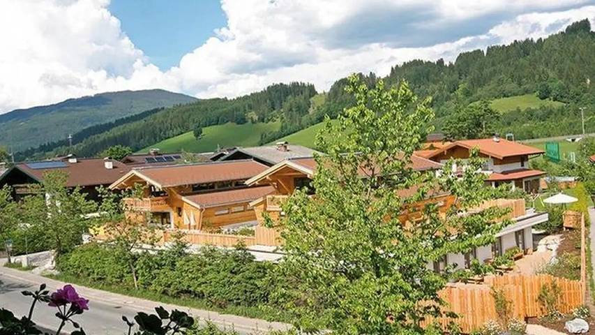 Hütte für 18 Personen, mit Terrasse und Sauna in Flachau - 4
