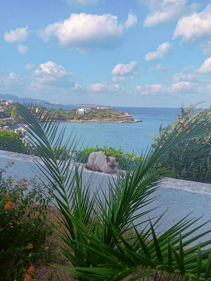 Residence Gerani in Plage d'Almyros (Agios Nikolaos), Région de Lassithi