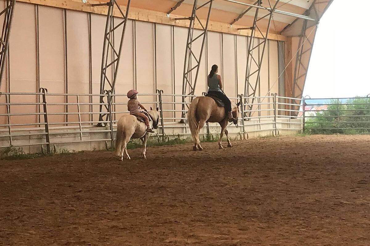 Western Riding Service - Reh in Bad Rappenau, Kraichgau