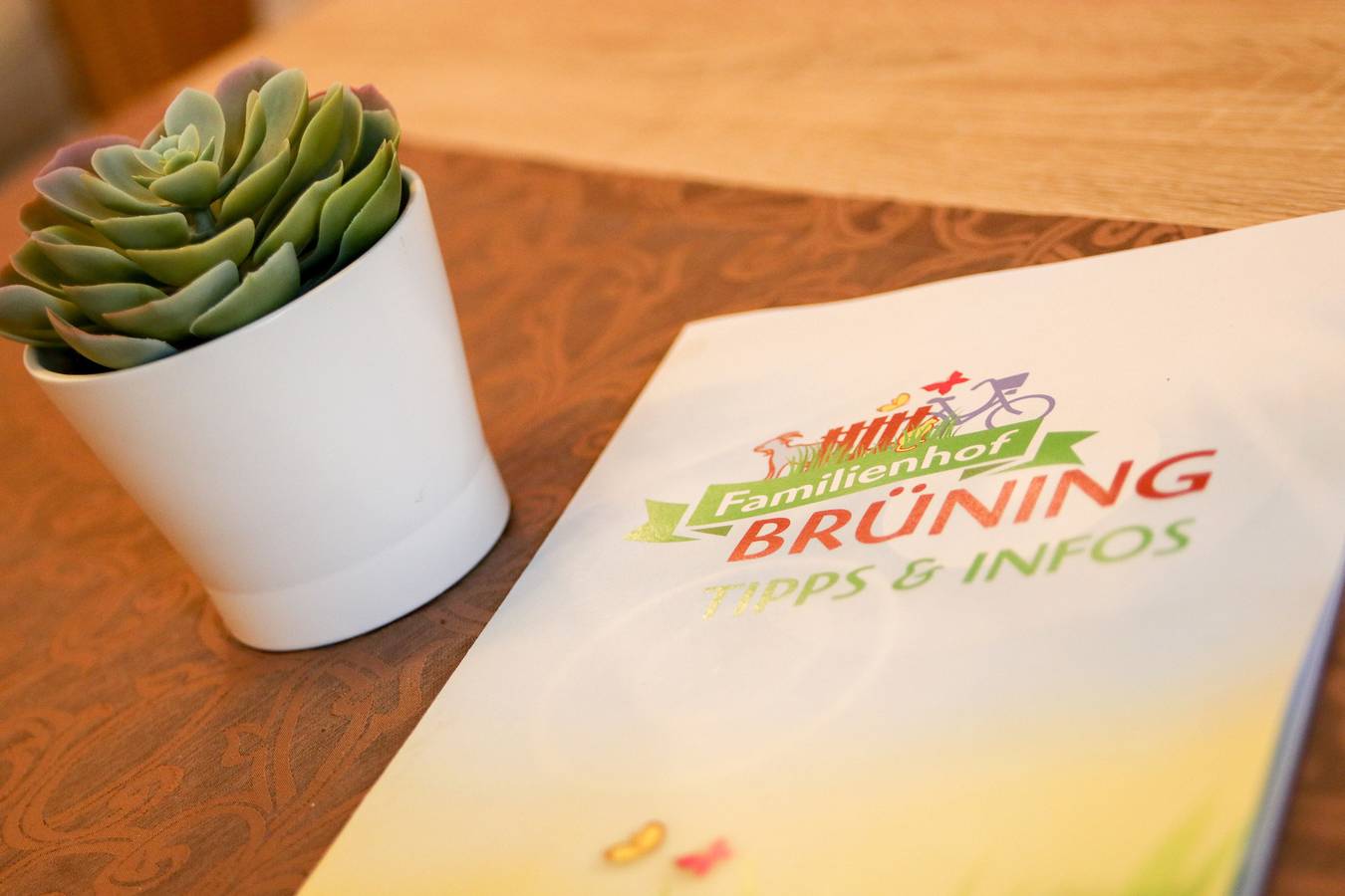 Ganze Ferienwohnung, Familienhof Brüning - Stadtblick in Meppen, Hasetal