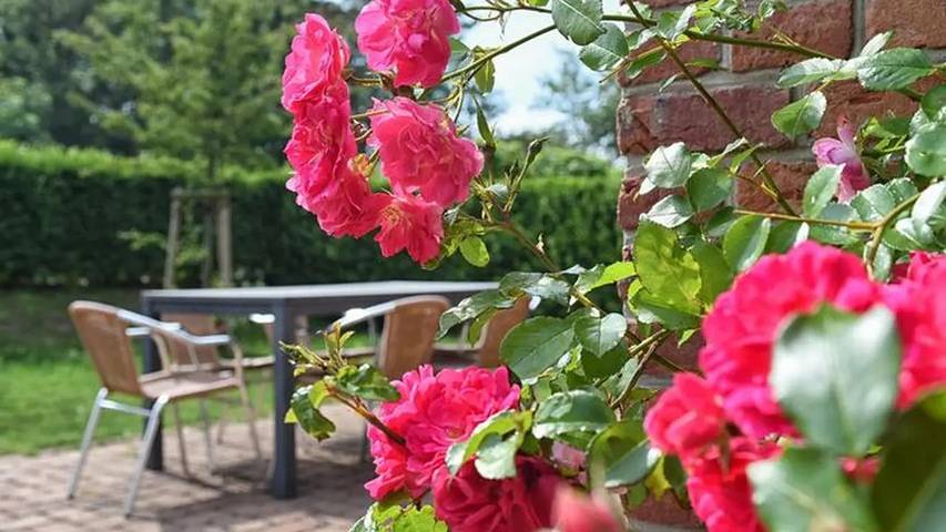 Ferienhaus für 6 Personen, mit Sauna und Terrasse sowie Garten in Borgsum - 4