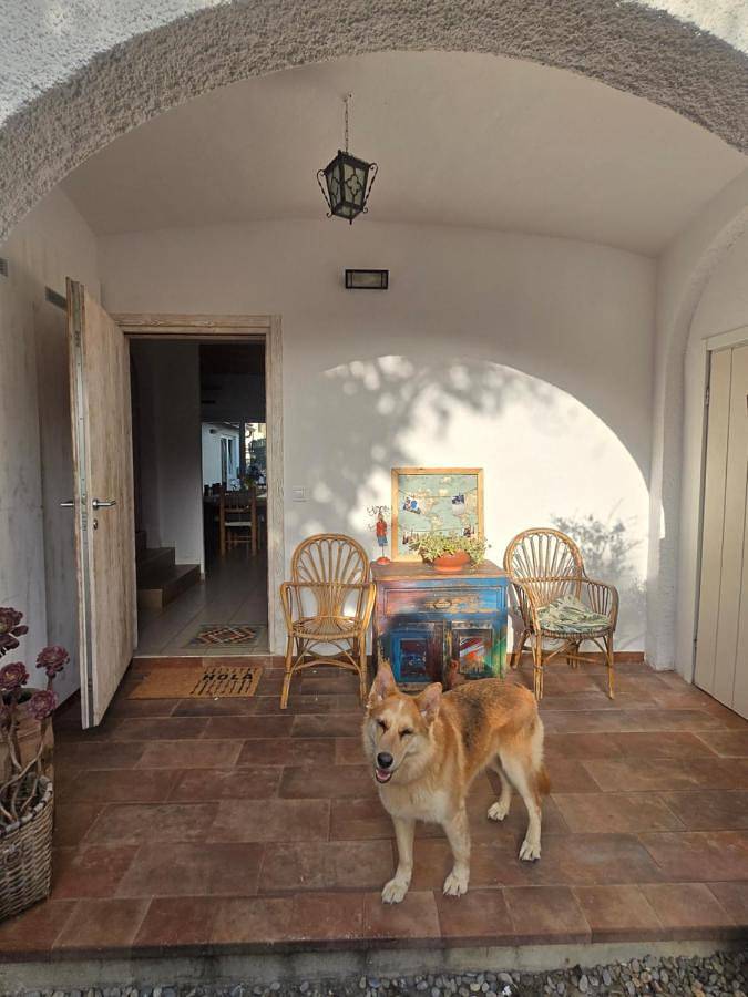 Location de vacances pour 6 personnes, avec Balcon et Terrasse ainsi que Jardin et Vue à Gérone - 3