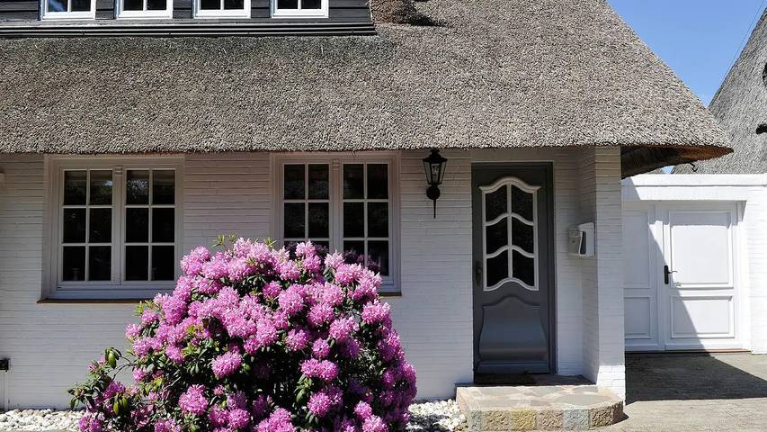 Ferienhaus für 6 Personen, mit Terrasse und Garten, mit Haustier - 1