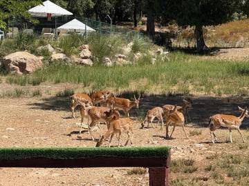 Apartamento de vacaciones para 5 personas, con vistas además de jardín y piscina en Provincia de Jaén