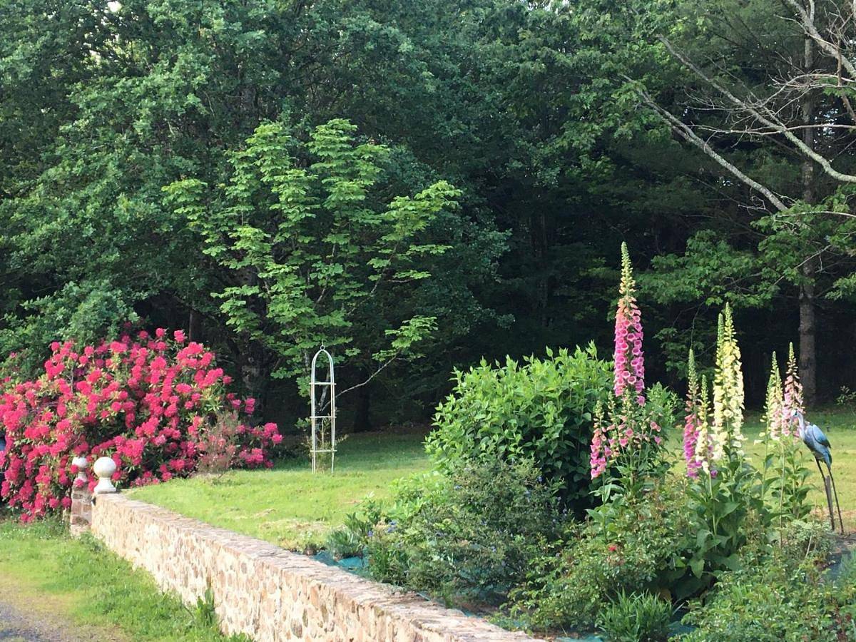 My lilifab in Saint-Saud-Lacoussière, Parc naturel régional Périgord-Limousin