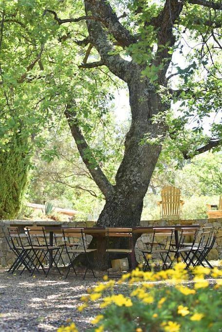 Location de vacances pour 26 personnes, animaux acceptés à Flayosc - 4