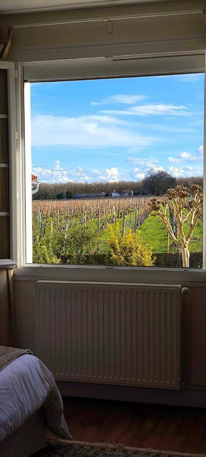 Location de vacances pour 10 personnes, avec piscine à Criteuil-la-Magdeleine - 2