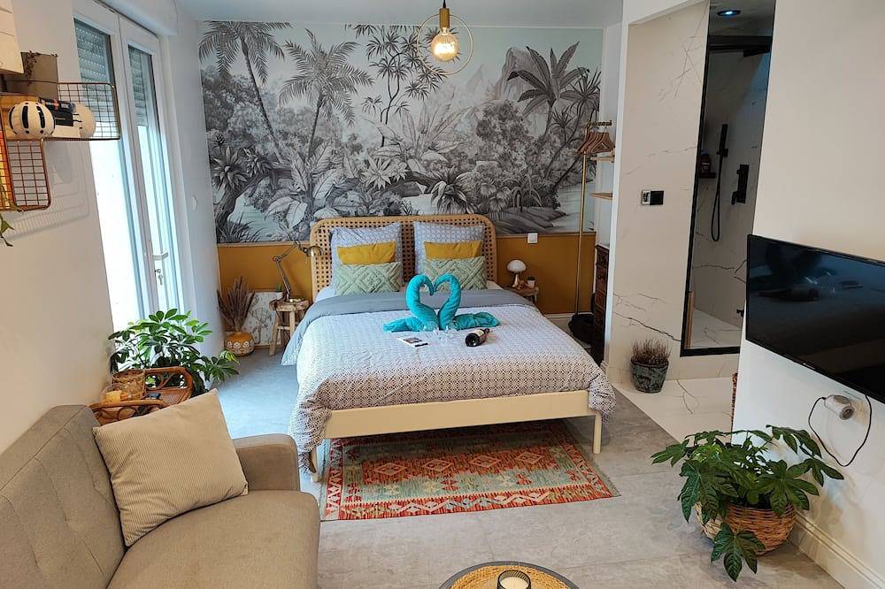 Ganze Wohnung, Superbe appartement avec jacuzzi avec jardin privé in Bron, Rhône