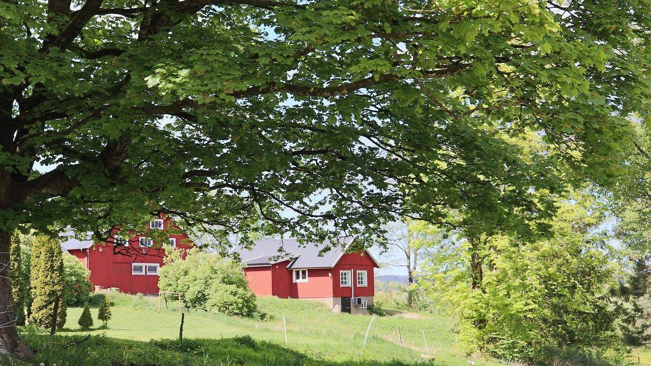 Ferienhaus für 4 Personen (55 m²) in Ullared in Falkenbergs und Umgebung
