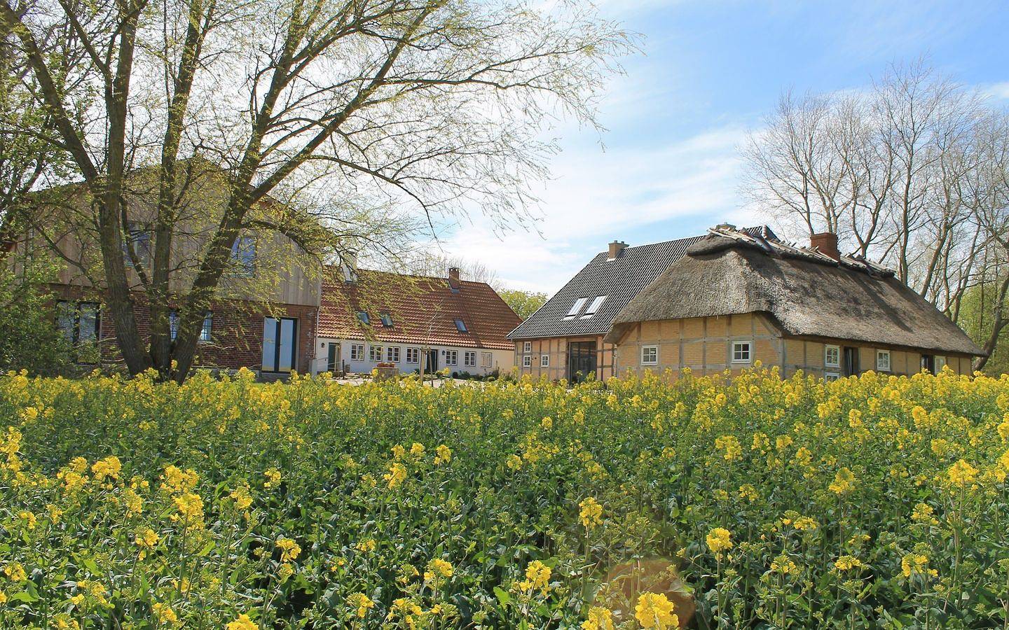 Traumhafter Vierseitenhof in Ostseenähe für Workshops, Seminare und Retreats in Geltinger Birk, Pommerby
