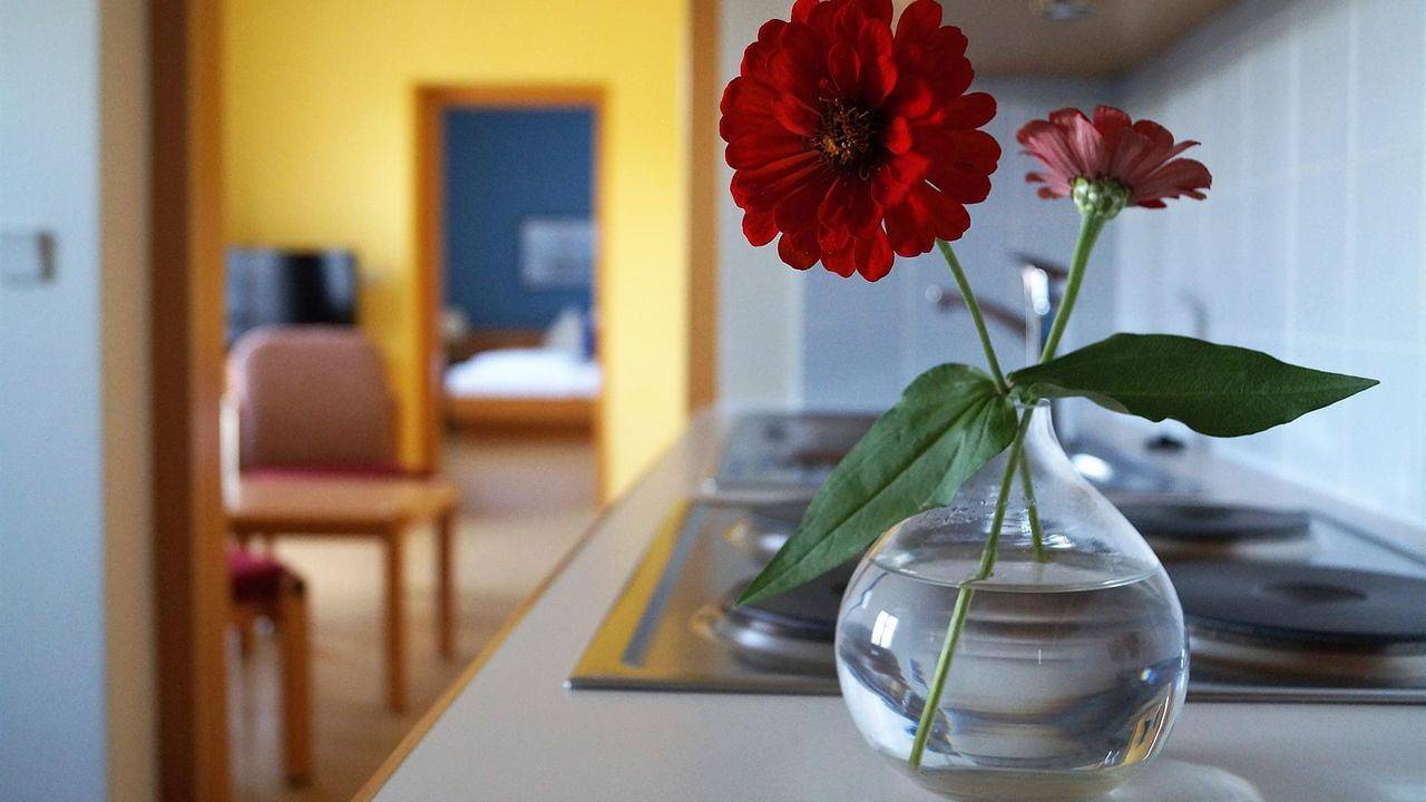 Ganze Ferienwohnung, Ferienwohnung für 4 Personen (60 m²) in Mörbisch am See in Mörbisch am See, Leithaberg