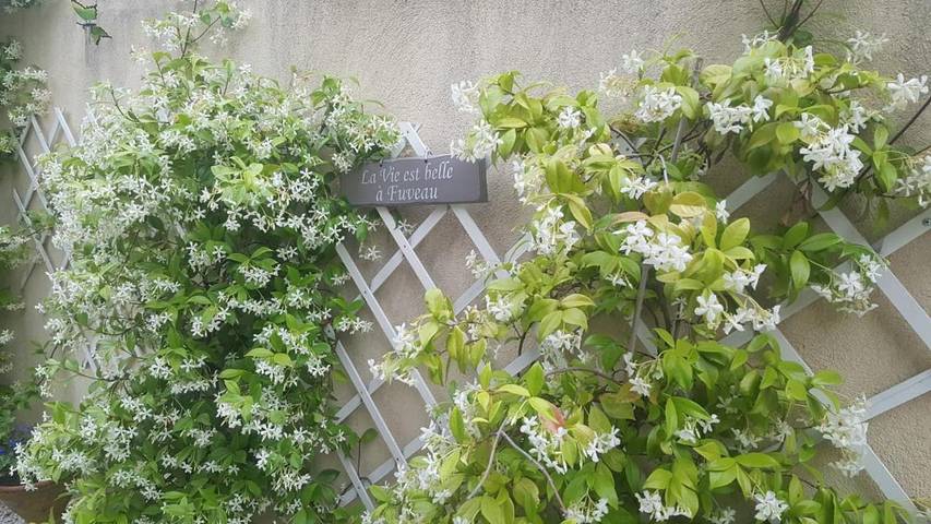 Gîte pour 3 personnes, avec vue ainsi que jardin et piscine à Fuveau - 2