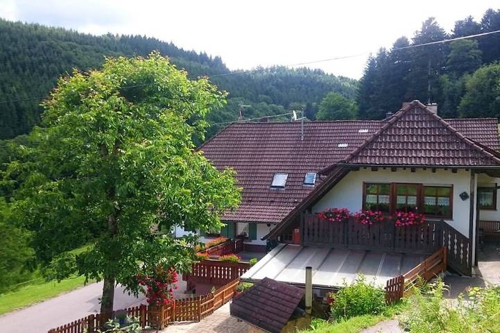 Ganze Wohnung, Fe.Wo. a. d. Bauernhof   Waldnähe   Spielplatz   Hundezw.  gr. Swimmbad im Ort in Zell am Harmersbach, Kinzigtal