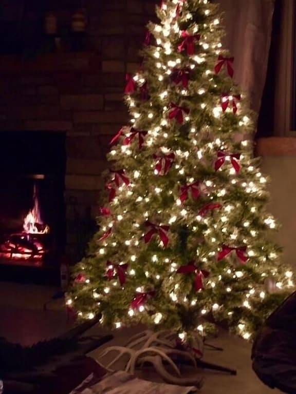 Lodge for 20 people in Illinois