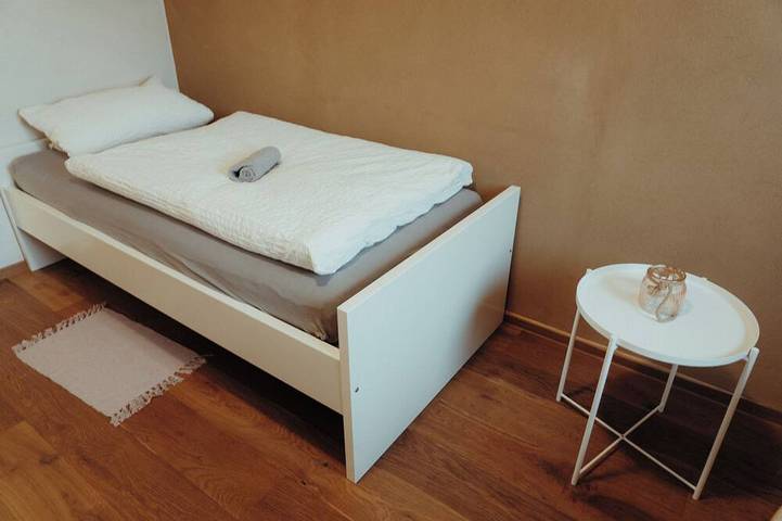 Garten Villa für 15 Personen mit Sauna, Schwimmteich & Seminarraum in Dornbirn, Bodensee-Vorarlberg