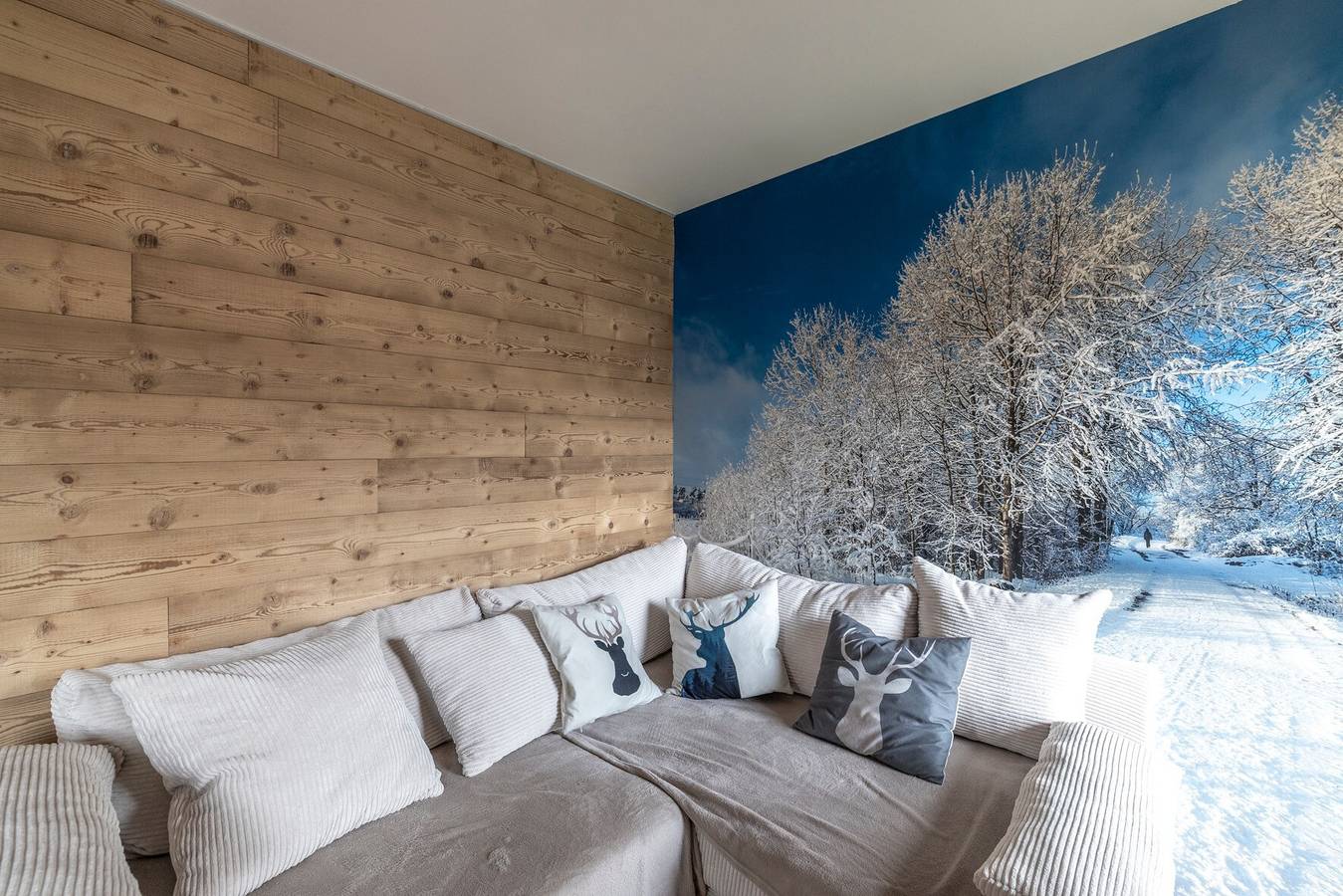 Ganze Wohnung, Ferienwohnung 'Le Chappart - Carroz D'Arâches' mit Bergblick, privater Terrasse und Wi-Fi in Les Carroz, Arâches-la-Frasse