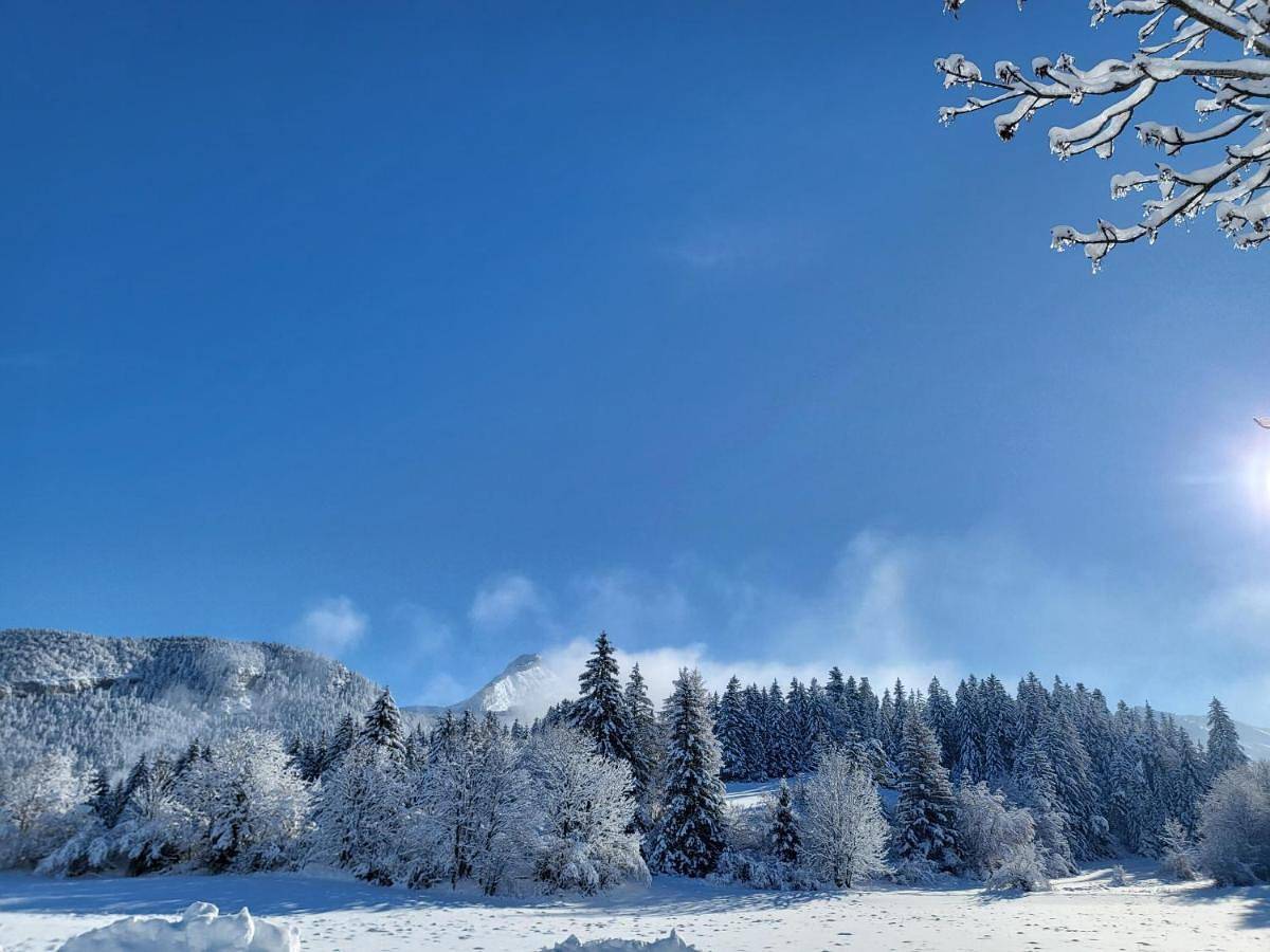 Double Room in Corrençon-en-Vercors, Parc naturel régional du Vercors