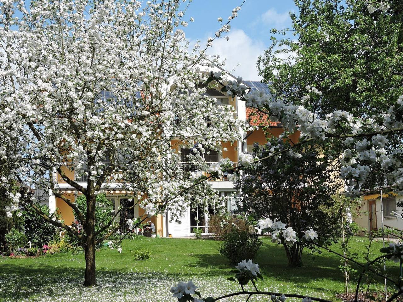 Appartementhaus Löwenzahn - Einraumappartement Nr. 5 (37qm) mit Glasfront zum Balkon in Bad Füssing, Ostbayern