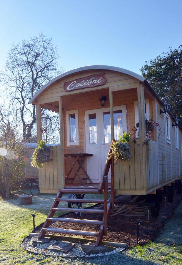 Maison de campagne pour 2 personnes, avec jardin ainsi que vue et sauna, animaux acceptés à Chimay - 3