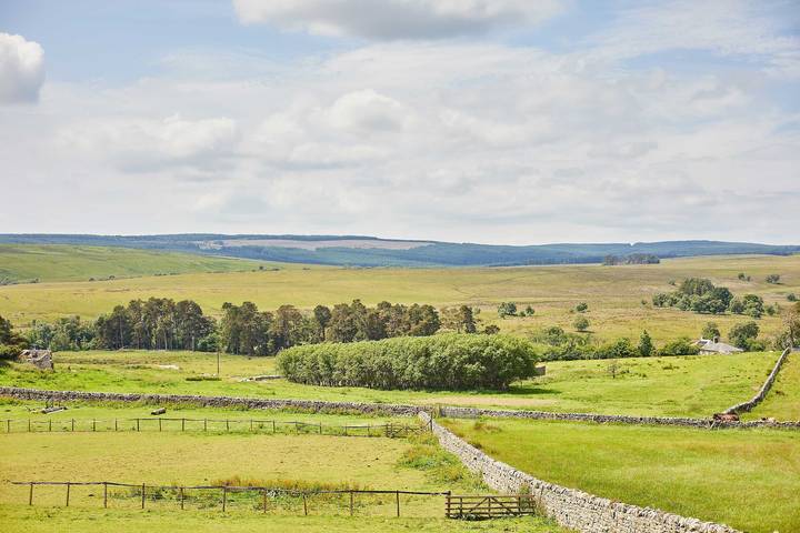 Host & Stay | Thistle Cottage in Northumberland National Park