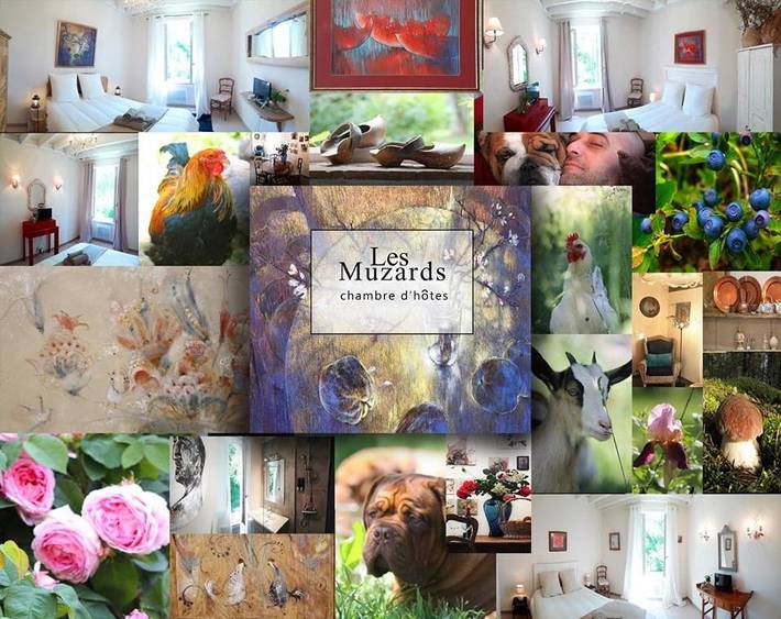 Maison d’hôte pour 2 personnes, avec jardin et vue, animaux acceptés