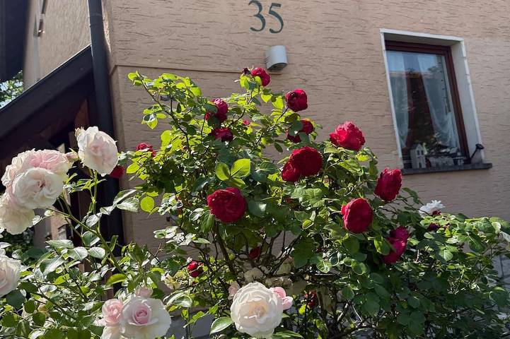 Ferienwohnung für 3 Personen, mit Garten und Balkon in Bad Staffelstein - 4