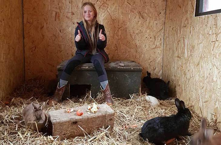 Bauernhof für 4 Personen, mit Terrasse und Pool sowie Garten, mit Haustier in der Lüneburger Heide - 2