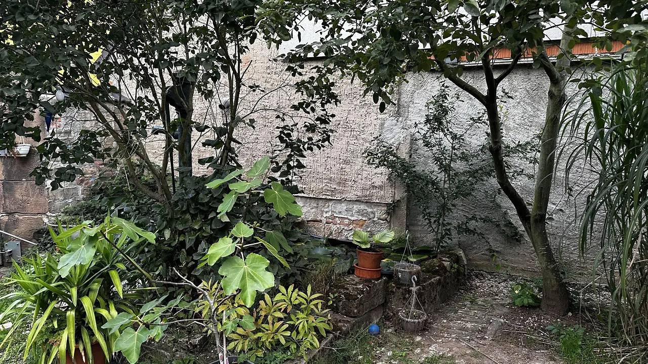 Ganze Ferienwohnung, Ferienwohnung für 2 Personen in Nebra (Unstrut) in Wangen (Nebra), Nebra (Unstrut)