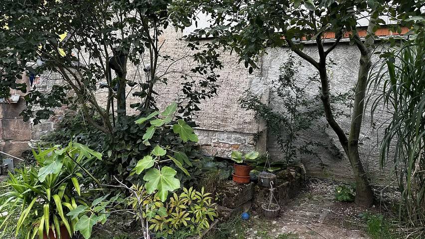 Bauernhof für 3 Personen, mit Garten, mit Haustier in Sachsen-Anhalt - 2