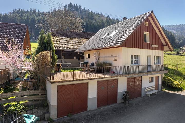 Ganze Wohnung, Ferienwohnung 1" mit Bergblick, gemeinsamer Terrasse und Wlan in Haslach im Kinzigtal, Kinzigtal
