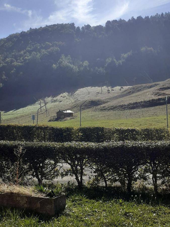 Gîte pour 4 personnes, avec vue ainsi que terrasse et jardin à Saint-Léger-les-Mélèzes - 2