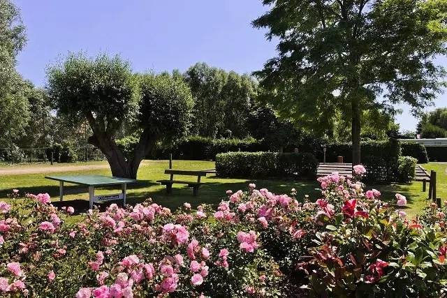 Camping pour 4 personnes, avec terrasse et piscine sur la Côte d'Opale - 4