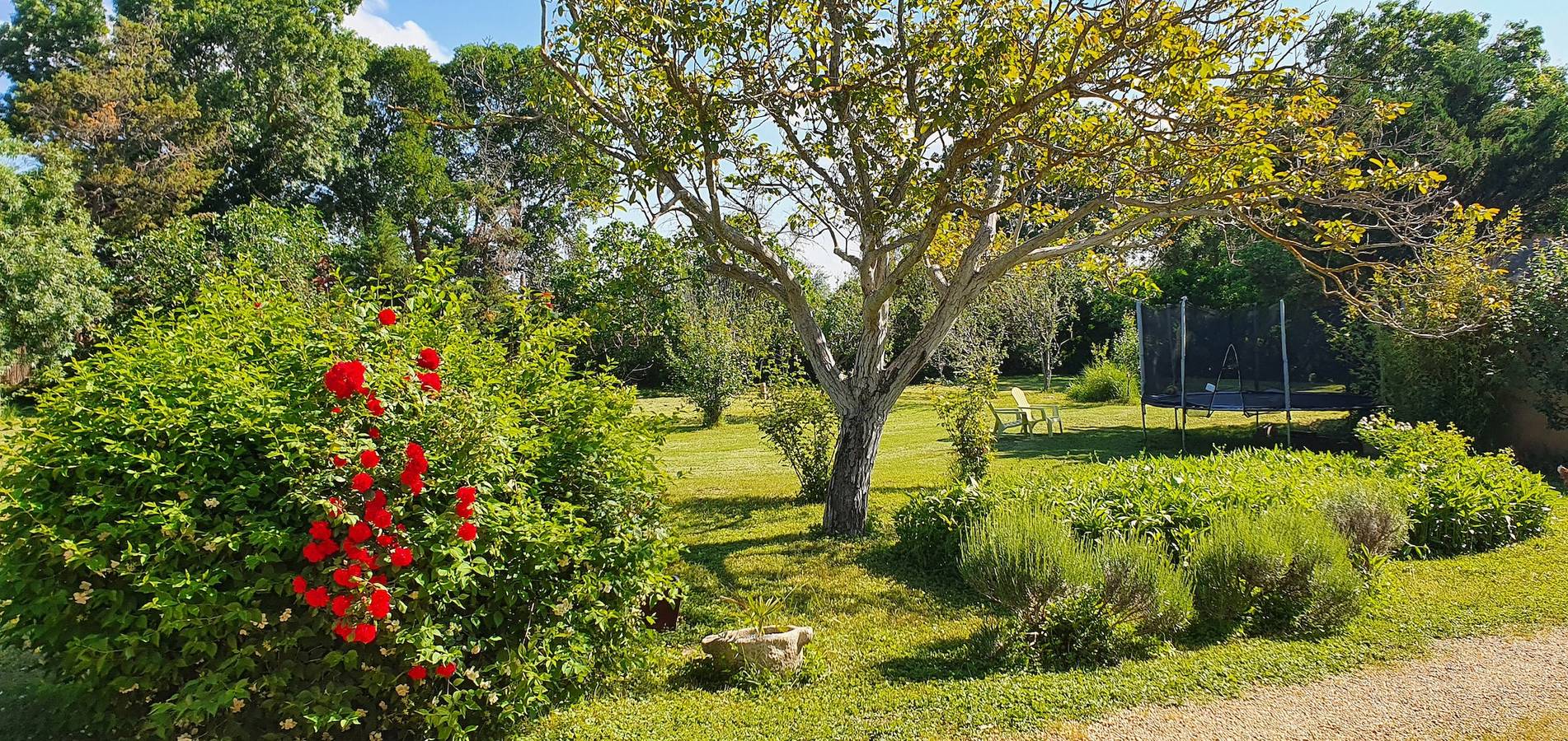 Charmantes Haus in Narbonne mit Pool und Garten in Narbonne, Mittelmeerküste (Frankreich)