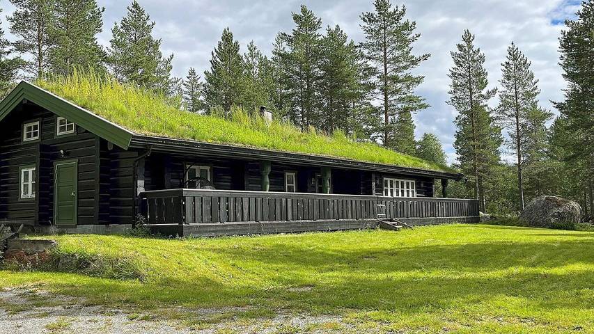Feriehus for 7 personer, med jacuzzi og terrasse, dyr tillatt i Gol