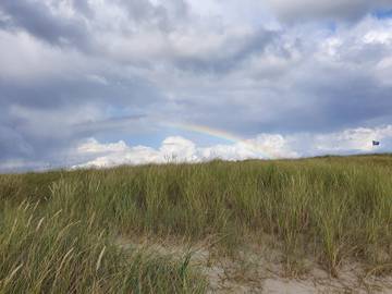 Ferieudlejning til 8 Personer i Blåvand, Vesterhavet, Billede 1