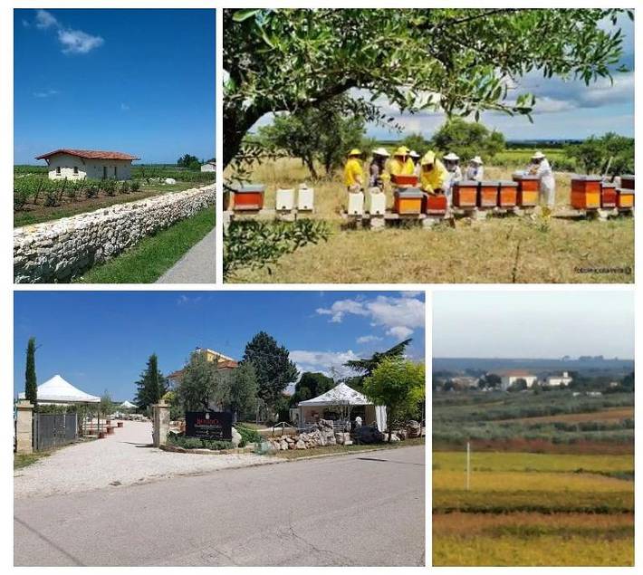 Camping pour 3 personnes, avec Terrasse et Jardin à Corato
