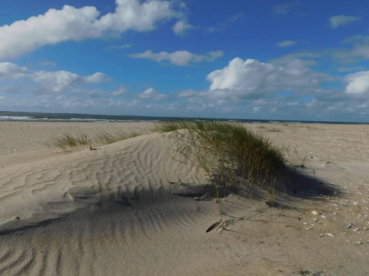 25 Personen Ferienhaus in Rømø in Sønderstrand, Tagholm