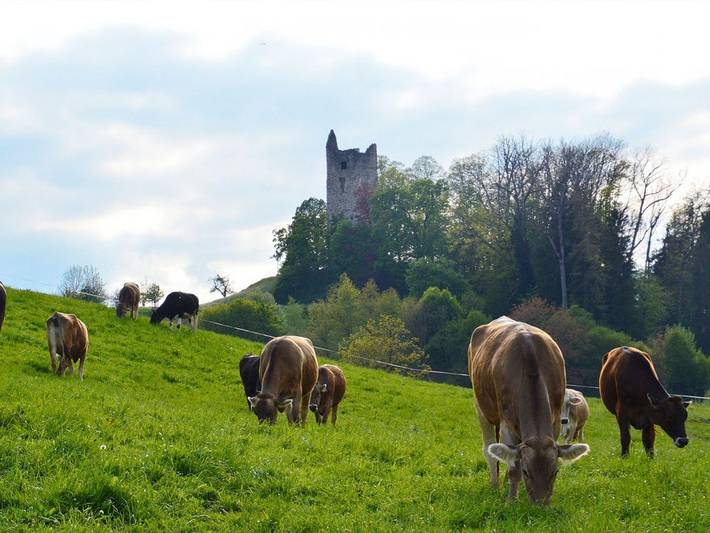Bauernhof für 6 Personen, mit Garten in Wangen im Allgäu - 3