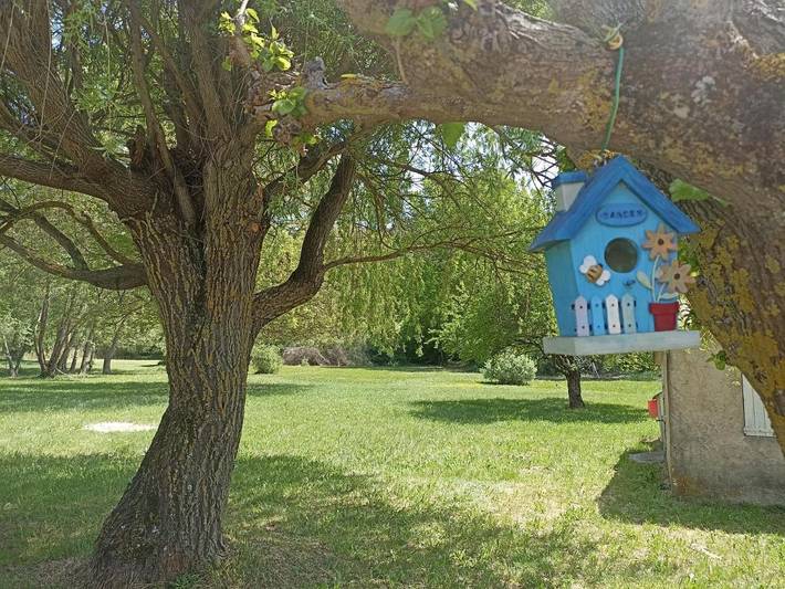 Location de vacances pour 6 personnes, avec jardin à Allemagne-en-Provence - 3