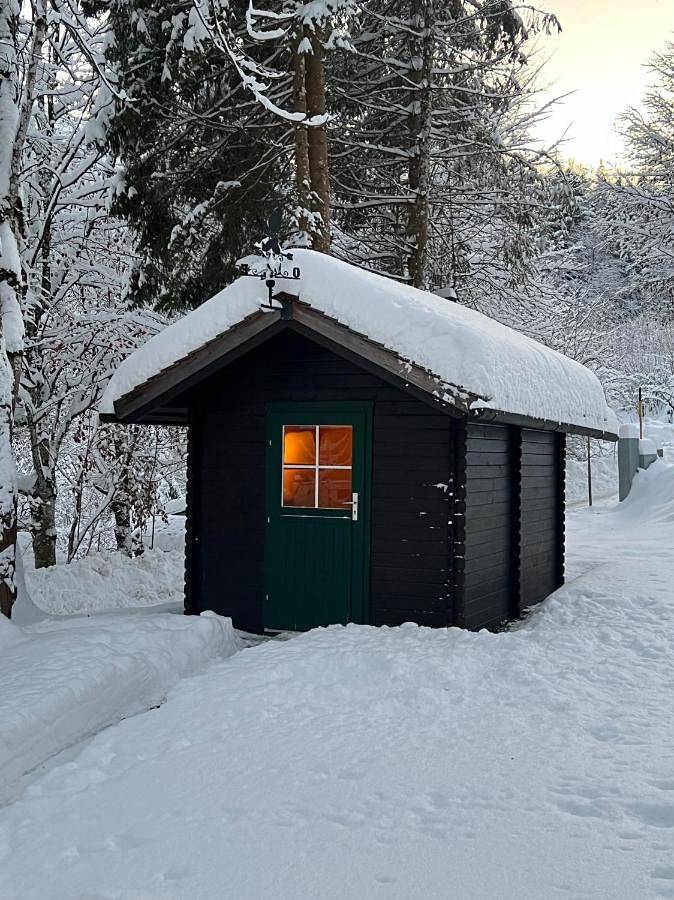 Gîte pour 8 personnes, avec sauna ainsi que jacuzzi et jardin, animaux acceptés à Gaming - 3