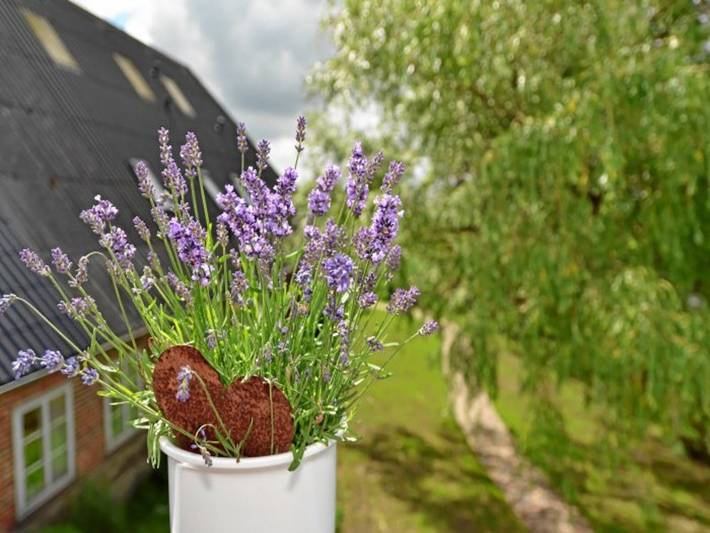 Bauernhof für 6 Personen, mit Garten und Balkon in Flensburger Förde - 3
