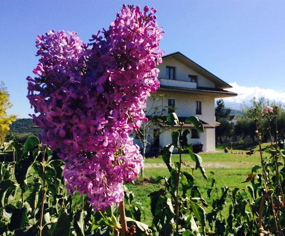 Agriturismo Le Terre d'Abruzzo Country House in Alanno, Provincia di Pescara