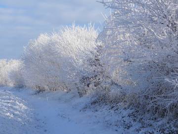 Ferienwohnung für 2 Personen in Rabenkirchen-Faulück, Schleswig-Flensburg, Bild 1