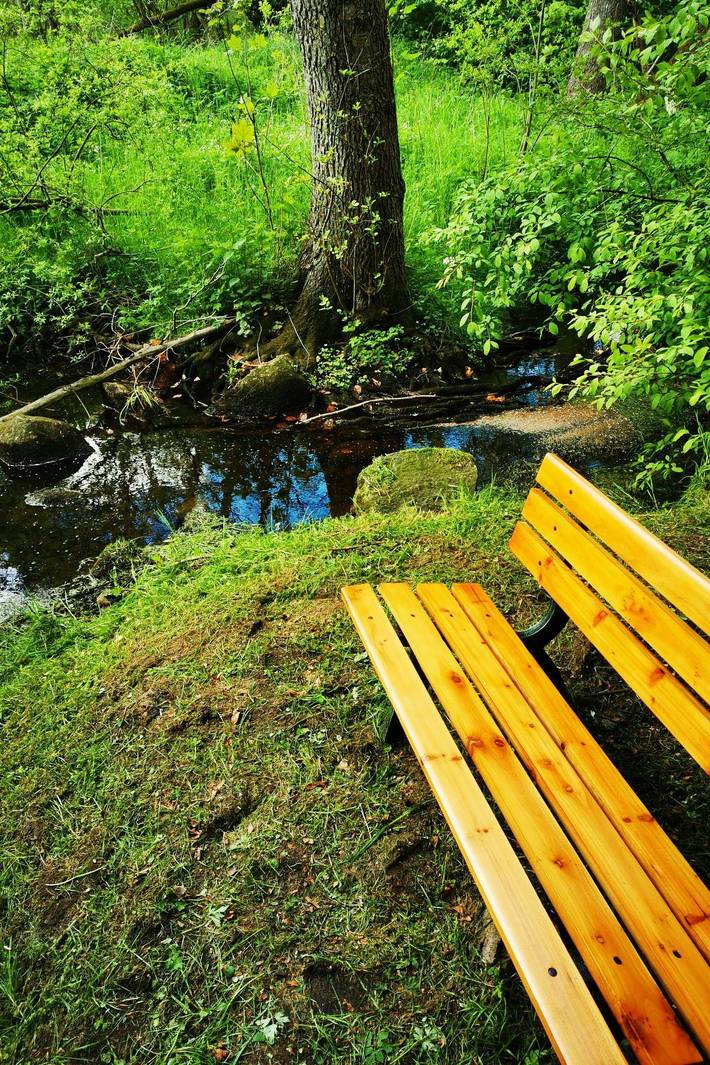 Ferienwohnung für 5 Personen, mit Garten und Seeblick, mit Haustier in Schleswig & Umgebung - 2