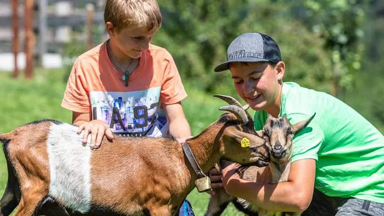 Ganze Ferienwohnung, Ferienwohnung für 2 Personen (33 m²) in Fieberbrunn in Fieberbrunn, Bezirk Kitzbühel