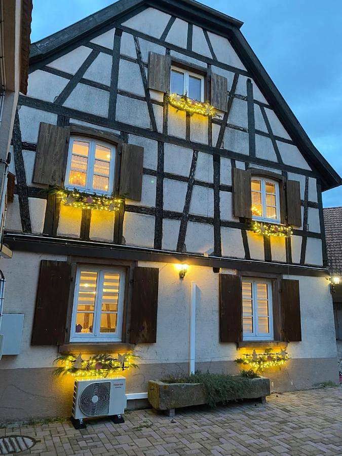 Gîte pour 10 personnes, avec vue ainsi que piscine et jardin, adapté aux familles à Horbourg-Wihr - 3