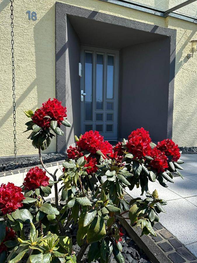 Ferienhaus für 4 Personen, mit Terrasse und Garten sowie Ausblick in Paderborn - 2