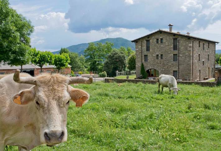 Casa rural para 2 personas, con Balcón y Terraza además de Jardín y Piscina en Vall de Bas - 2