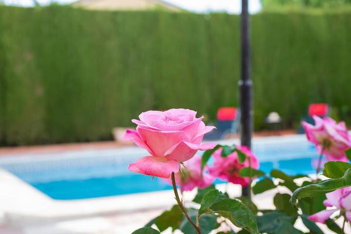 Casa rural para 12 personas, con jardín además de piscina y vistas en Monachil - 4