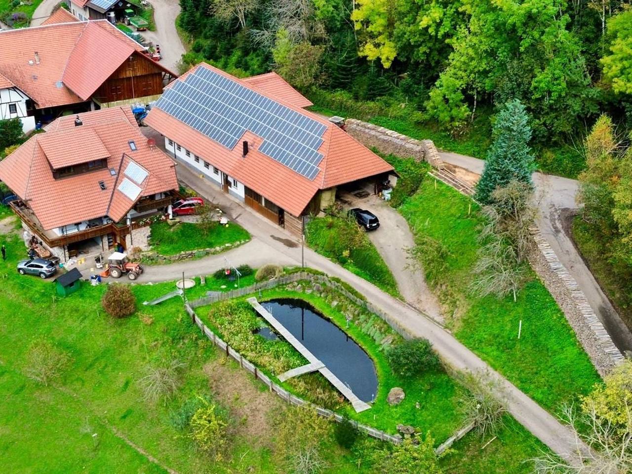 Ferienwohnung Rufenbauernhof - Ferienwohnung für 3 Pers. in Schuttertal, Hochschwarzwald